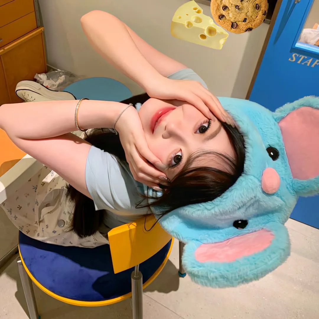 屋中异蛛